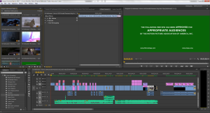 My Adobe Premiere timeline.